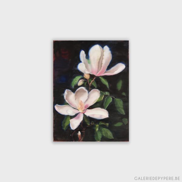 Magnolia